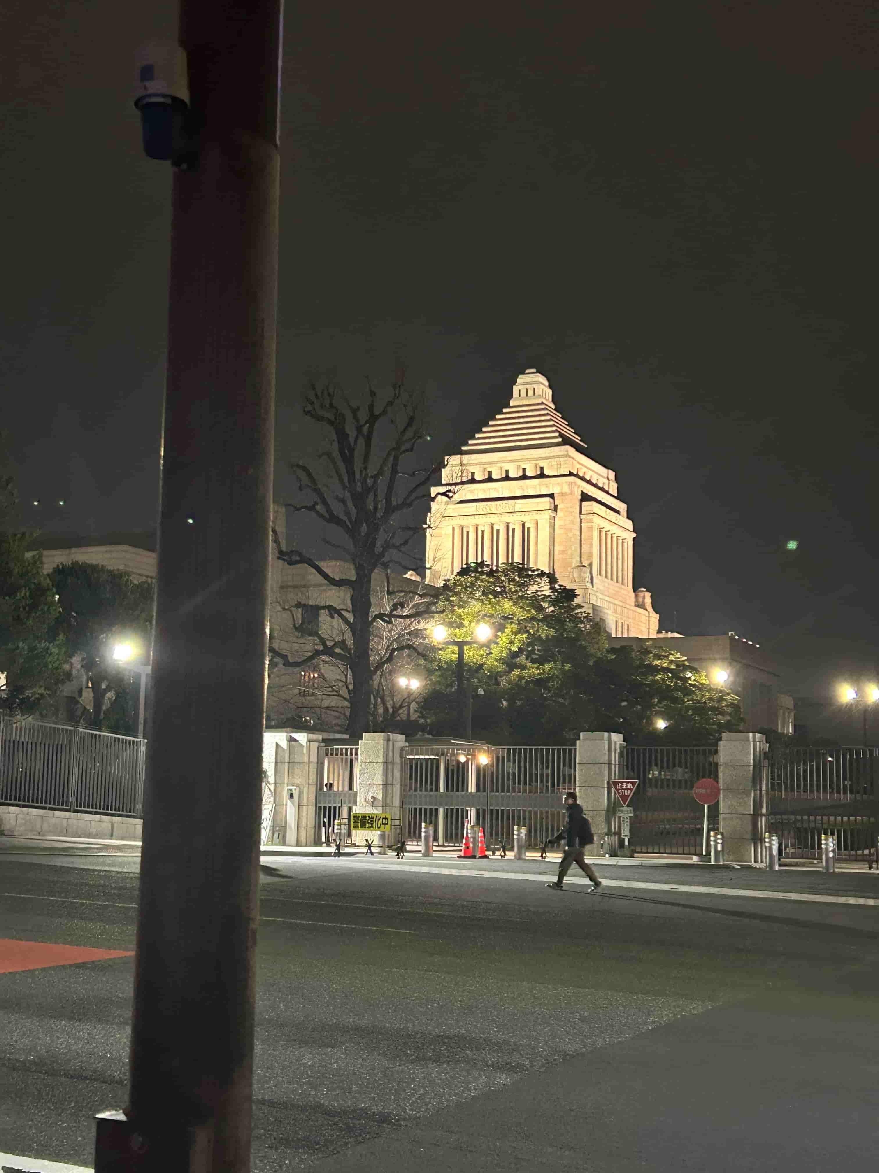 夜の国会議事堂と街灯に照らされた歩道